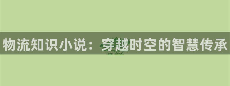 五月小说区小说免费阅读：物流知识小说：穿越时空的智慧传承