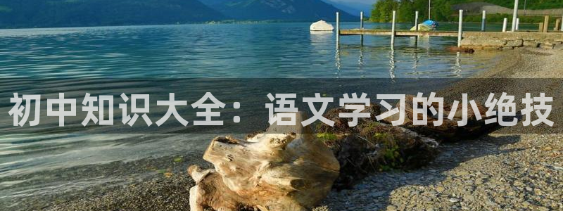 五月小说区：初中知识大全：语文学习的小绝技