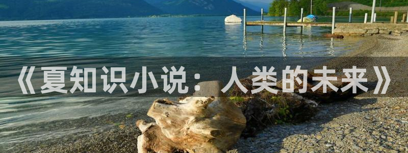五月小说区小说免费阅读：《夏知识小说：人类的未来》